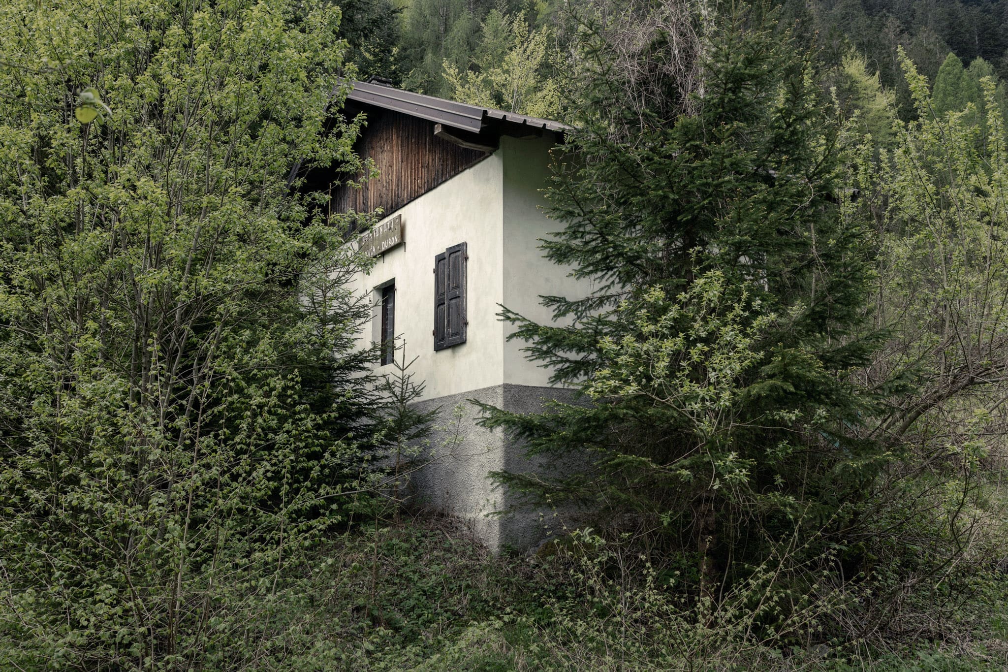 Once Upon Ski - Paularo